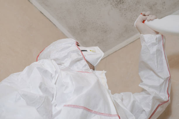 Best Residential Mold Remediation in Long Grove, IL