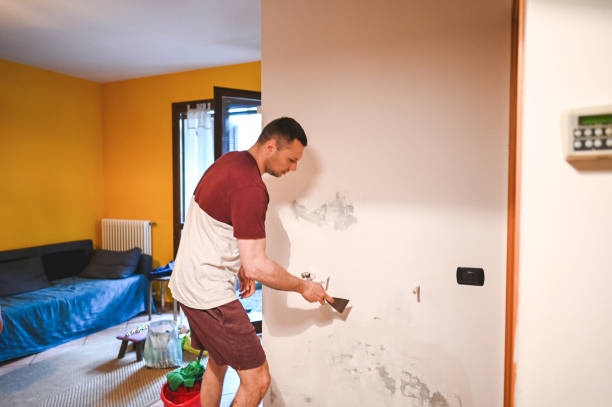 Best Mold Remediation for Schools in Long Grove, IL